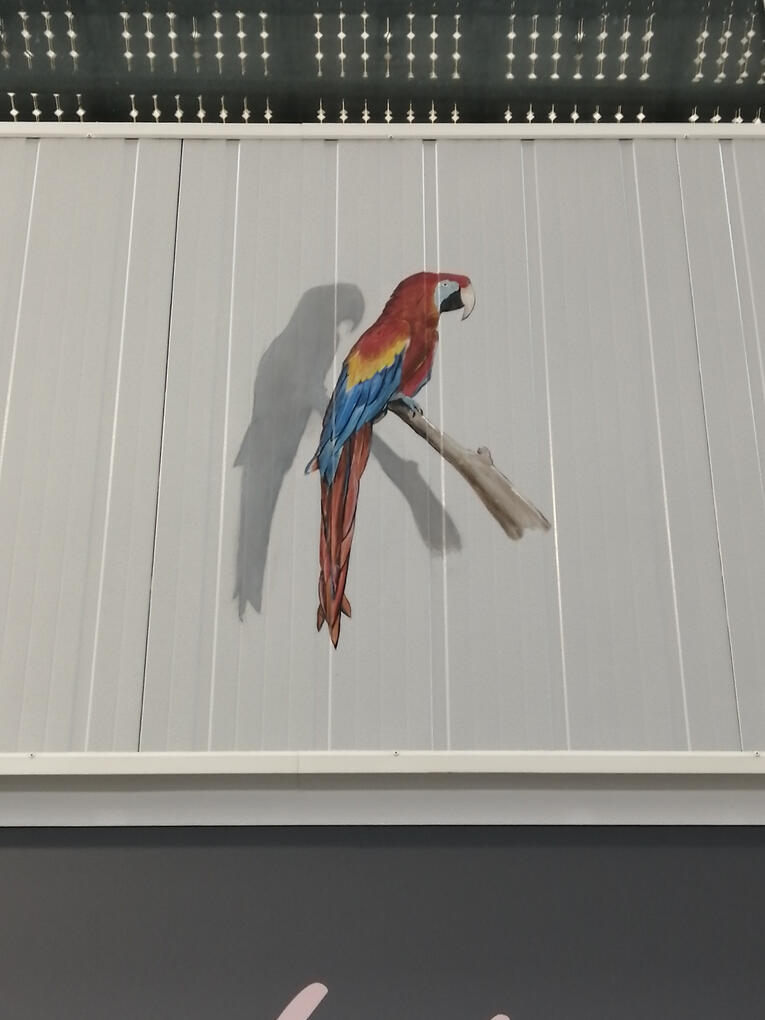 Perroquet sur branche