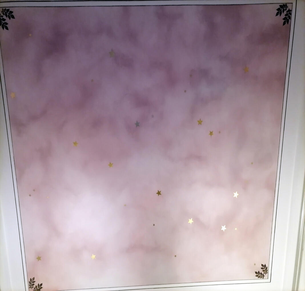 Réalisation plafond après (Privé)